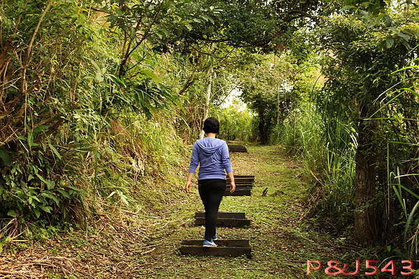 月眉山-林道.JPG 月眉山-林道.JPG