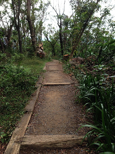 劍潭山-步道2.JPG