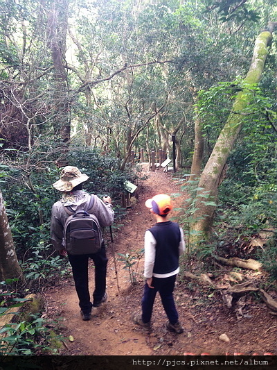 十八尖山-林道7.JPG 十八尖山-林道7.JPG