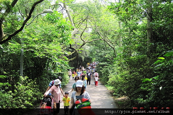 十八尖山-步道.JPG