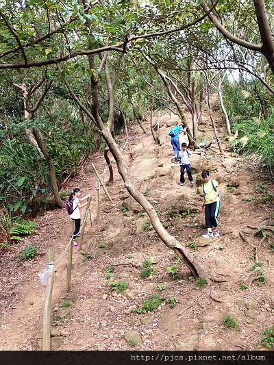 鶯歌山-林道.JPG 鶯歌山-林道.JPG