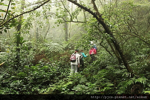 白雞三山-往雞罩山.JPG 白雞三山-往雞罩山.JPG