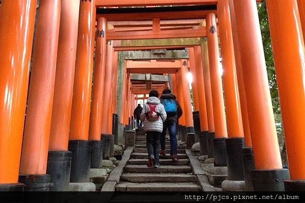 伏見稻荷-千本鳥居5.jpg