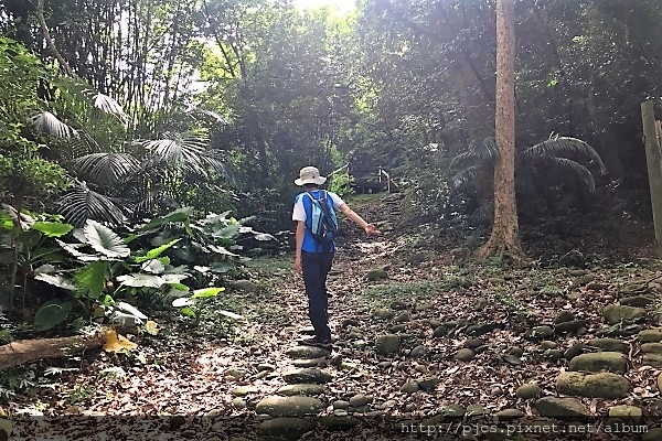 石光古道-道路.JPG 石光古道-道路.JPG