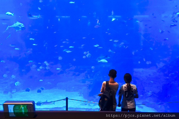 海洋館.JPG 海洋館.JPG