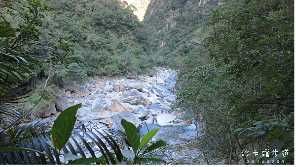 44.砂卡礑步道.png