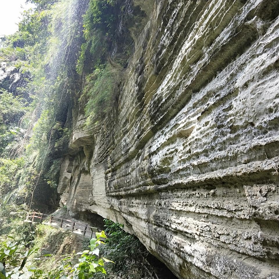 青年嶺步道13.jpg