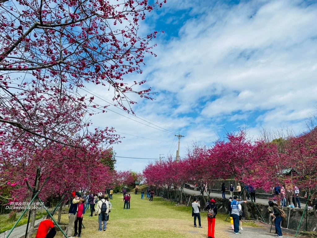 彌陀禪寺2.jpg