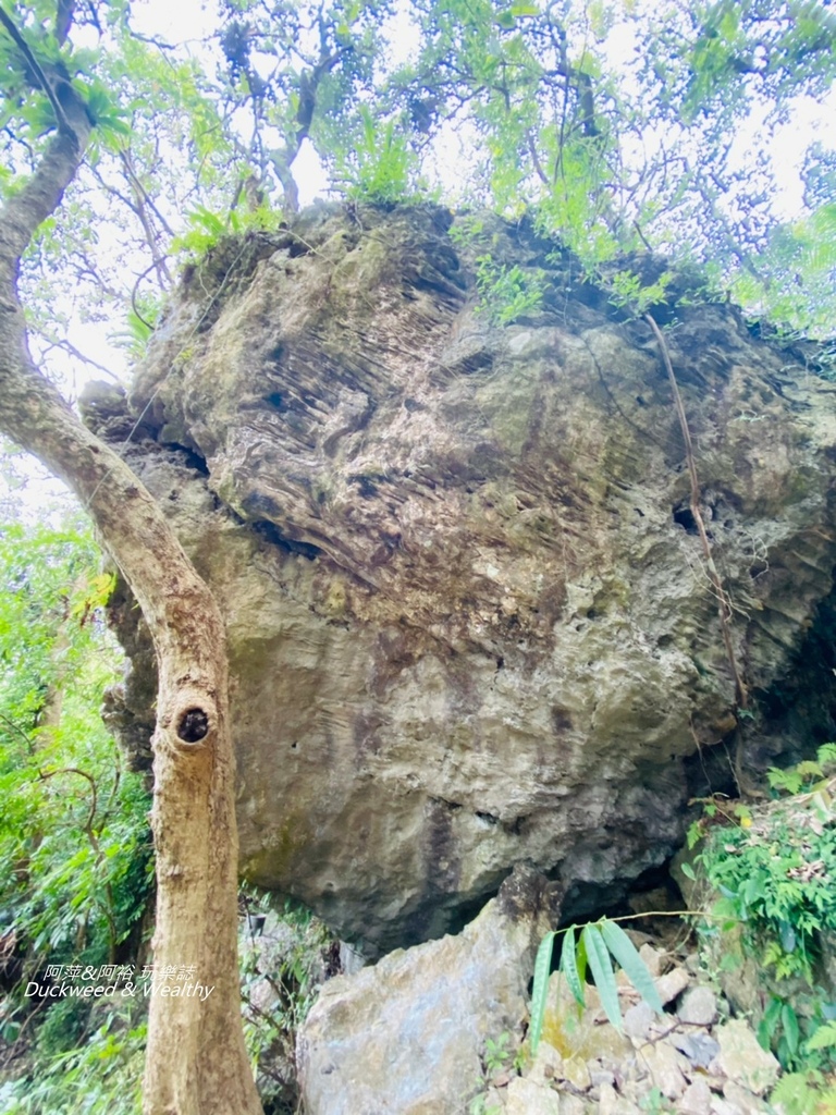 火泉步道20.jpg