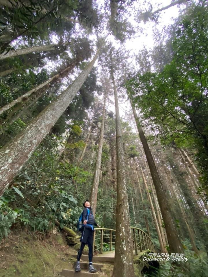 阿里山福山古道03.jpg