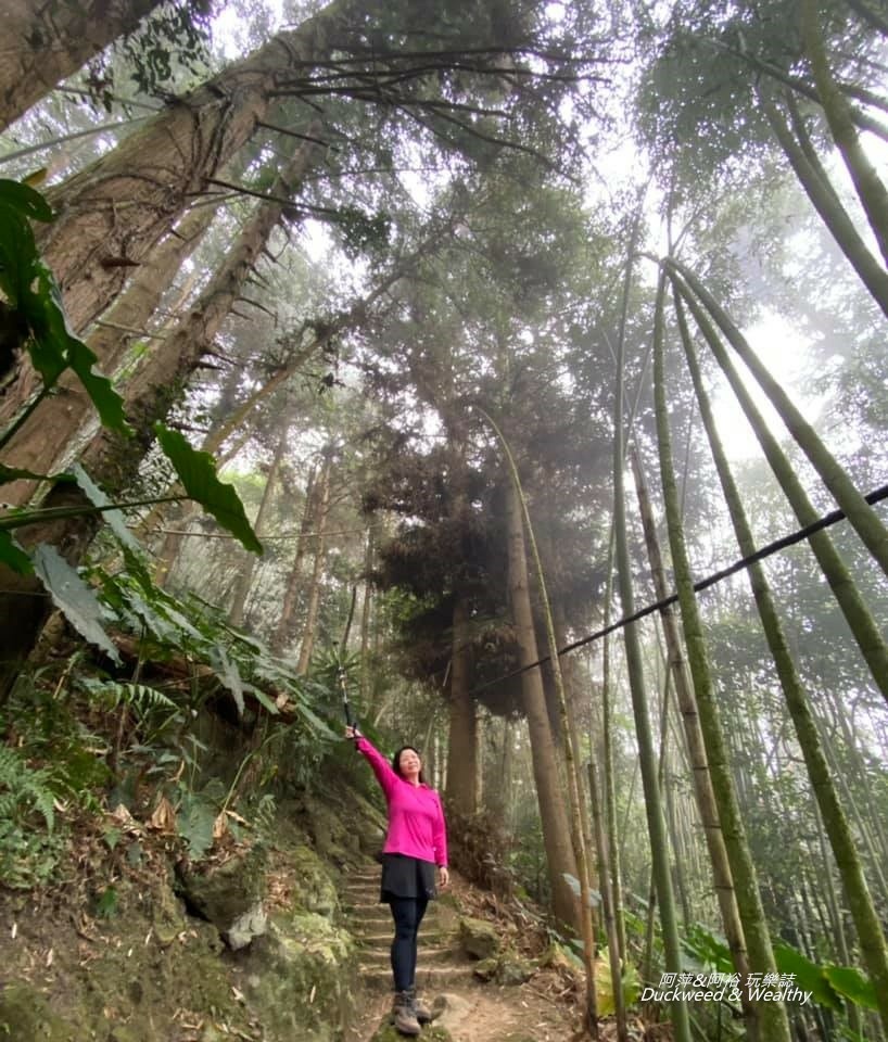 阿里山福山古道05.jpg