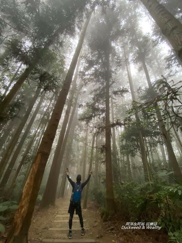 阿里山福山古道12.jpg