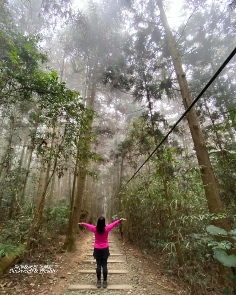 阿里山福山古道11.jpg