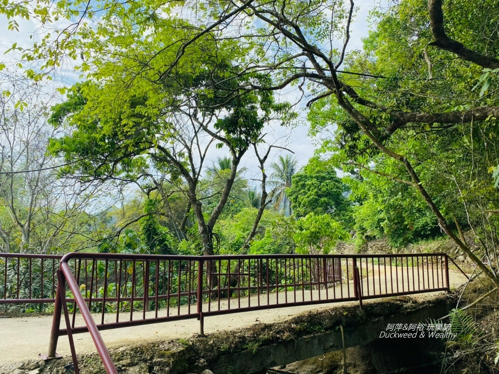 蝙蝠4-1.jpg 蝙蝠4-1.jpg