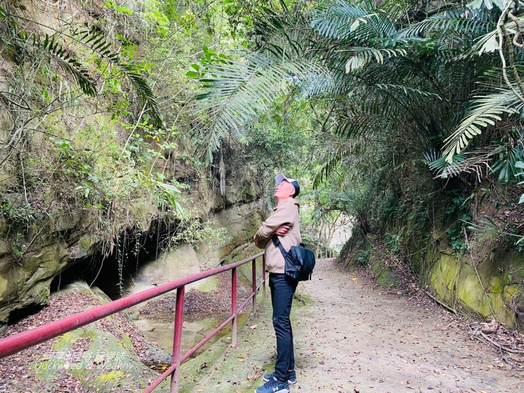 蝙蝠4.jpg 蝙蝠4.jpg