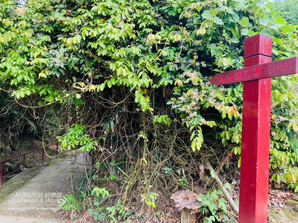 蝙蝠3-3.jpg 蝙蝠3-3.jpg