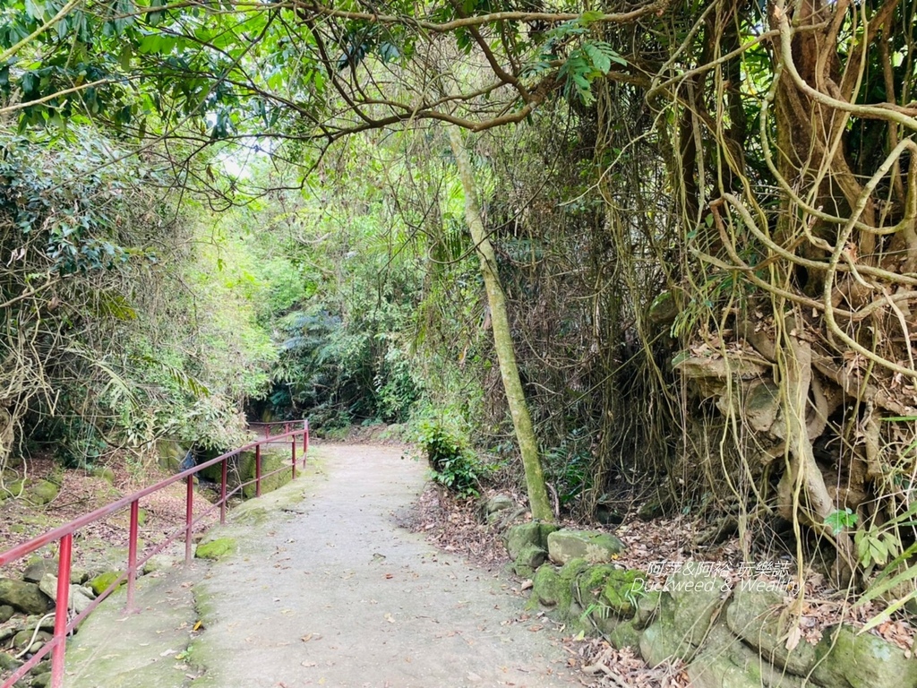 蝙蝠3.jpg 蝙蝠3.jpg