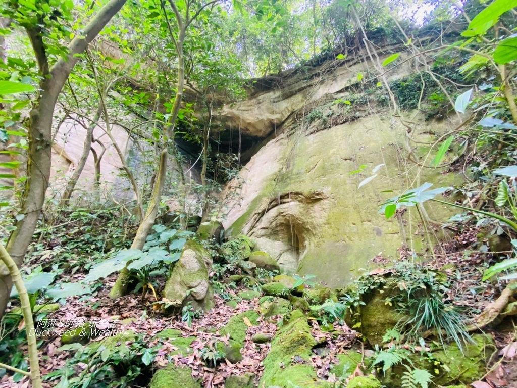 蝙蝠6.jpg 蝙蝠6.jpg