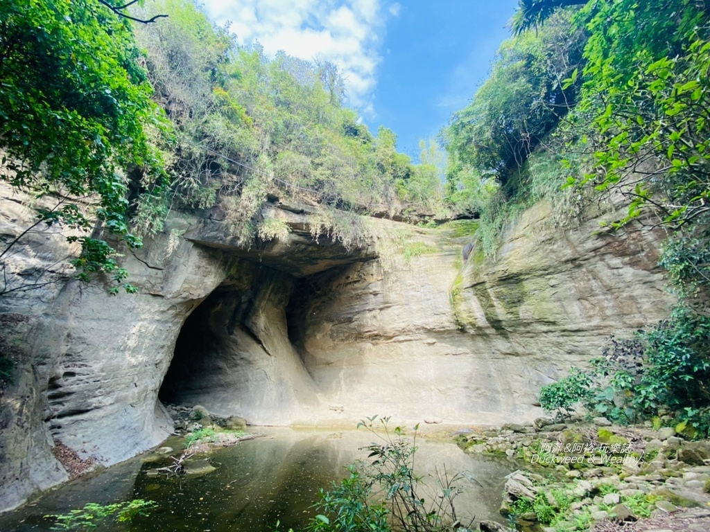 蝙蝠8.jpg 蝙蝠8.jpg