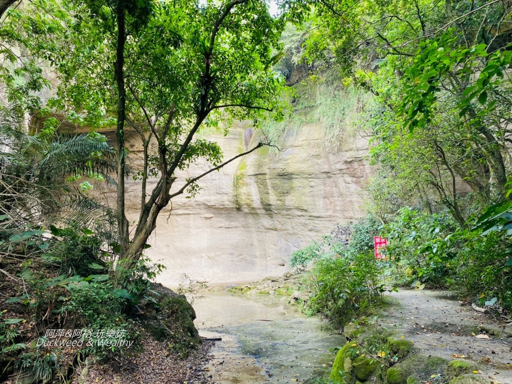 蝙蝠5.jpg 蝙蝠5.jpg