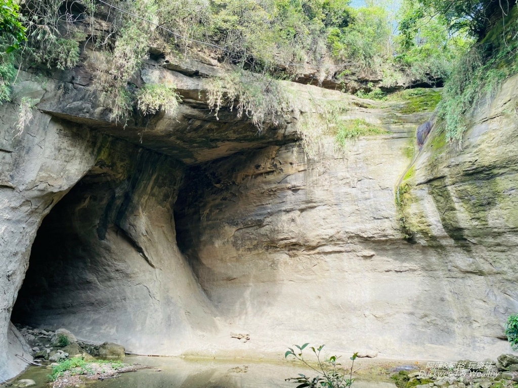 蝙蝠9.jpg 蝙蝠9.jpg