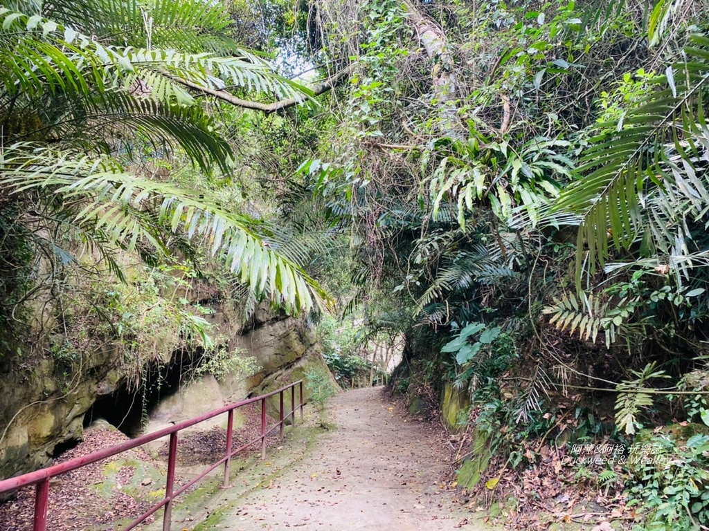 蝙蝠4-2.jpg 蝙蝠4-2.jpg