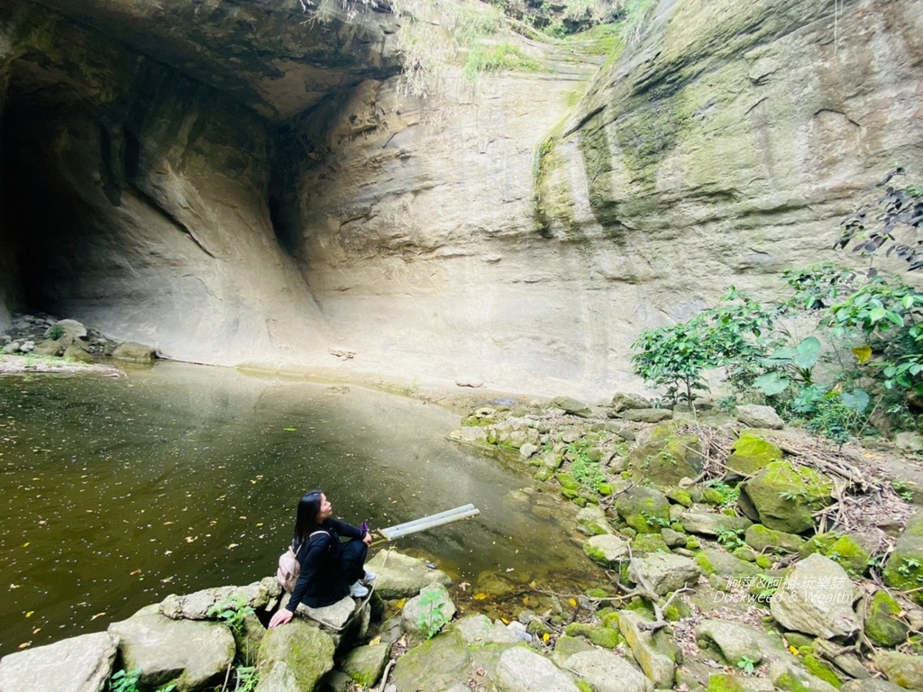 蝙蝠10.jpg 蝙蝠10.jpg