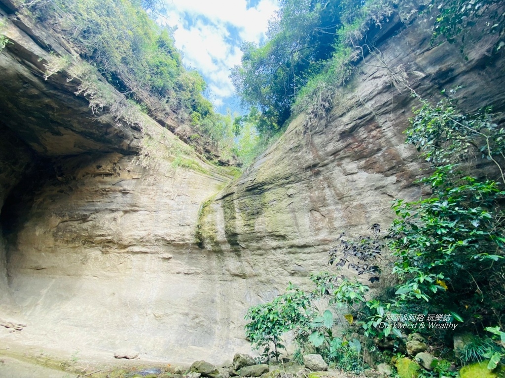 蝙蝠12.jpg 蝙蝠12.jpg