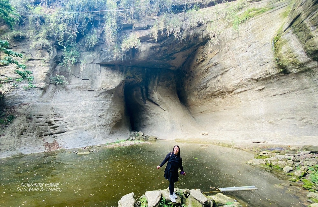 蝙蝠16.jpg 蝙蝠16.jpg