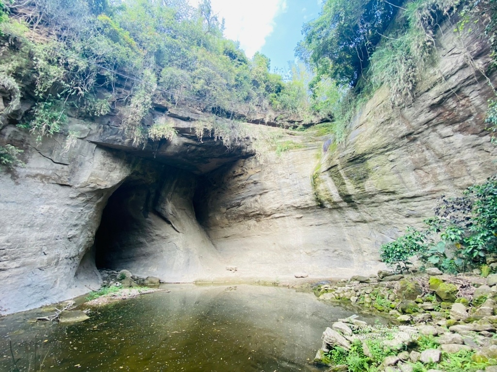 蝙蝠17.jpg 蝙蝠17.jpg