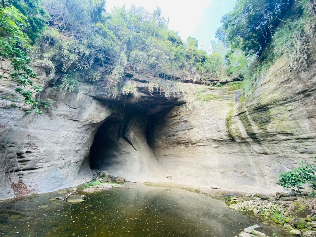 蝙蝠18.jpg 蝙蝠18.jpg