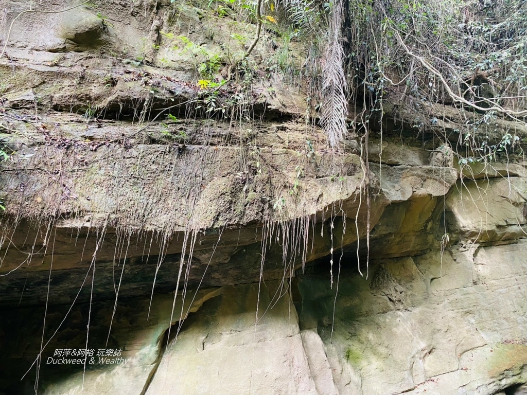 蝙蝠20.jpg 蝙蝠20.jpg