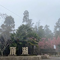 嘉義大凍山2.jpg