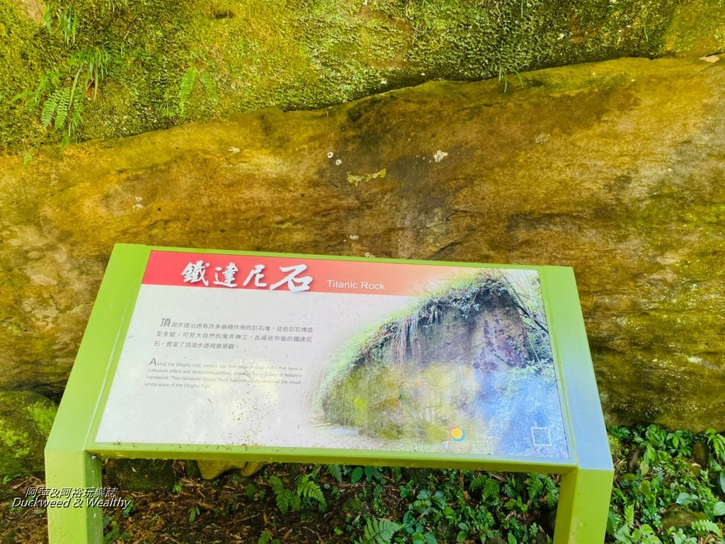 嘉義大凍山10-1.jpg