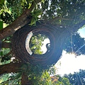雲河19.jpg