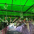 20220210_154840.jpg