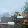 藤枝1-1.jpg