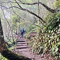 藤枝6.jpg
