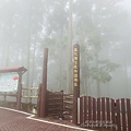 藤枝12.jpg