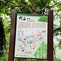 藤枝14.jpg