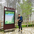 藤枝15.jpg