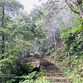 藤枝18.jpg
