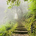 藤枝17.jpg
