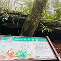 藤枝21.jpg