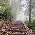 藤枝19-3.jpg