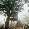 藤枝24-1.jpg
