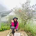 藤枝26-4.jpg