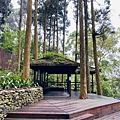 藤枝32.jpg
