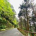藤枝33-1.jpg