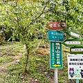 藤枝37.jpg